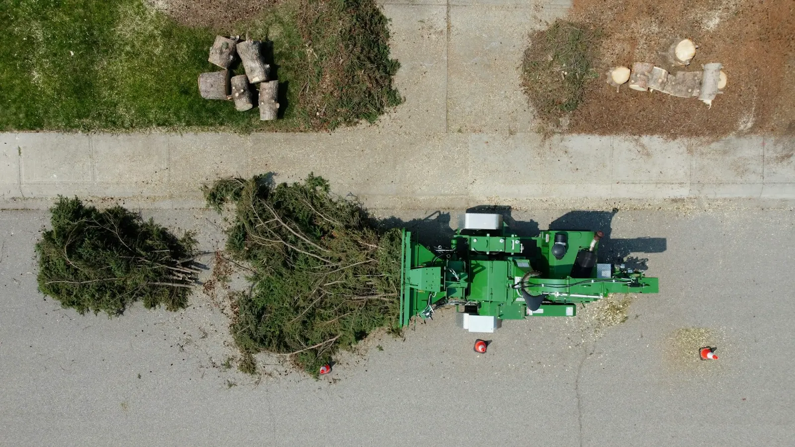 Tree chipper processing a large evergreen tree on street